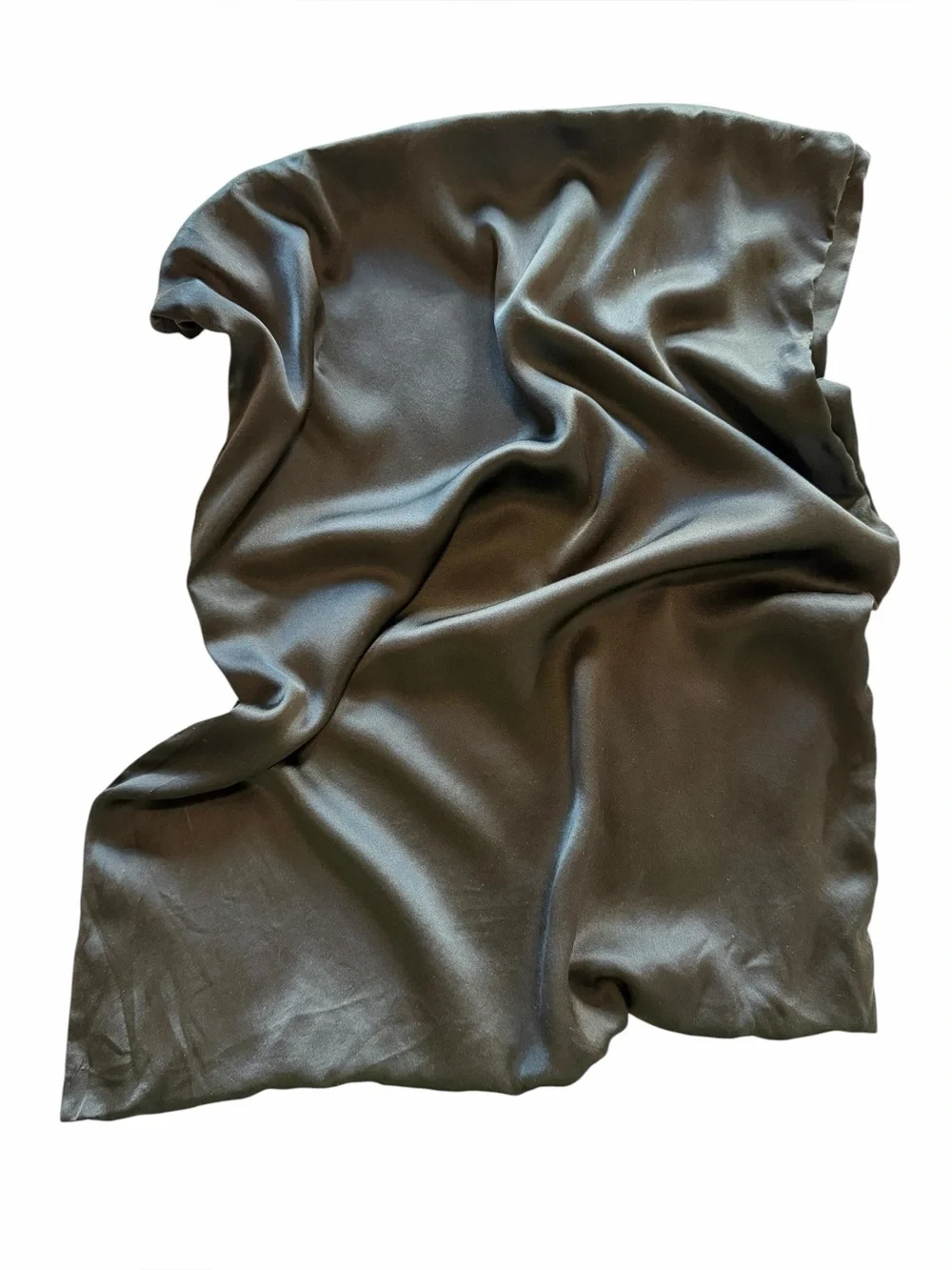 Zima Silk 100% Mulberry Silk Pillow Cases (Set of 2)